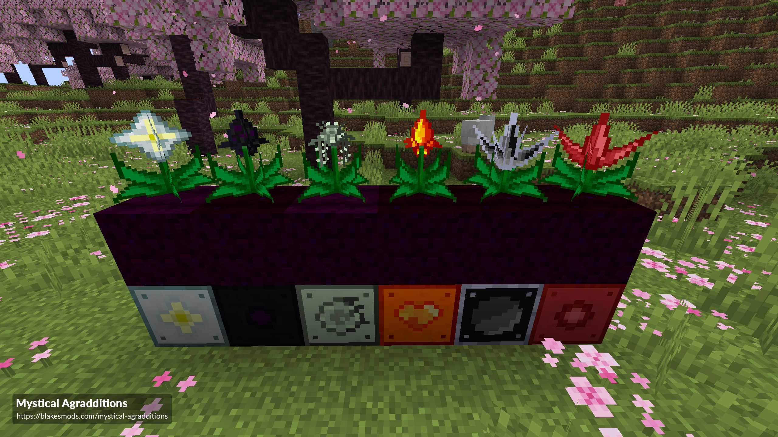 Mystical Agradditions Feature Image